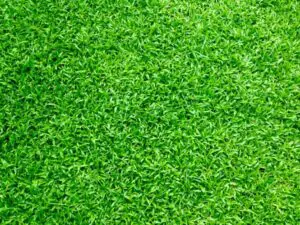 goat-turf-artificial-turf-nashville-putting-greens