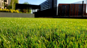 4-reasons-to-install-artificial-turf-installation