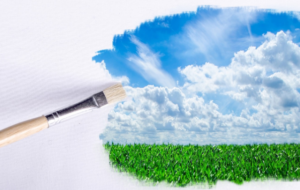 how-to-clean-your-artificial-grass-picture-perfect-artificial-turf