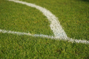 artificial-turf-envirofill-goat-turf-nashville-turf-artificial-grass-fake-grass-synlawn