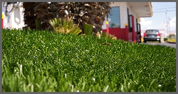 Office building with fake grass front yard