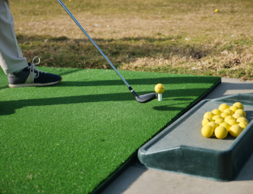 Different Turf Types for Different Spaces