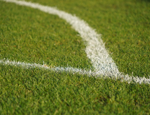 Envirofill: Why It’s Our Preferred Artificial Turf Infill