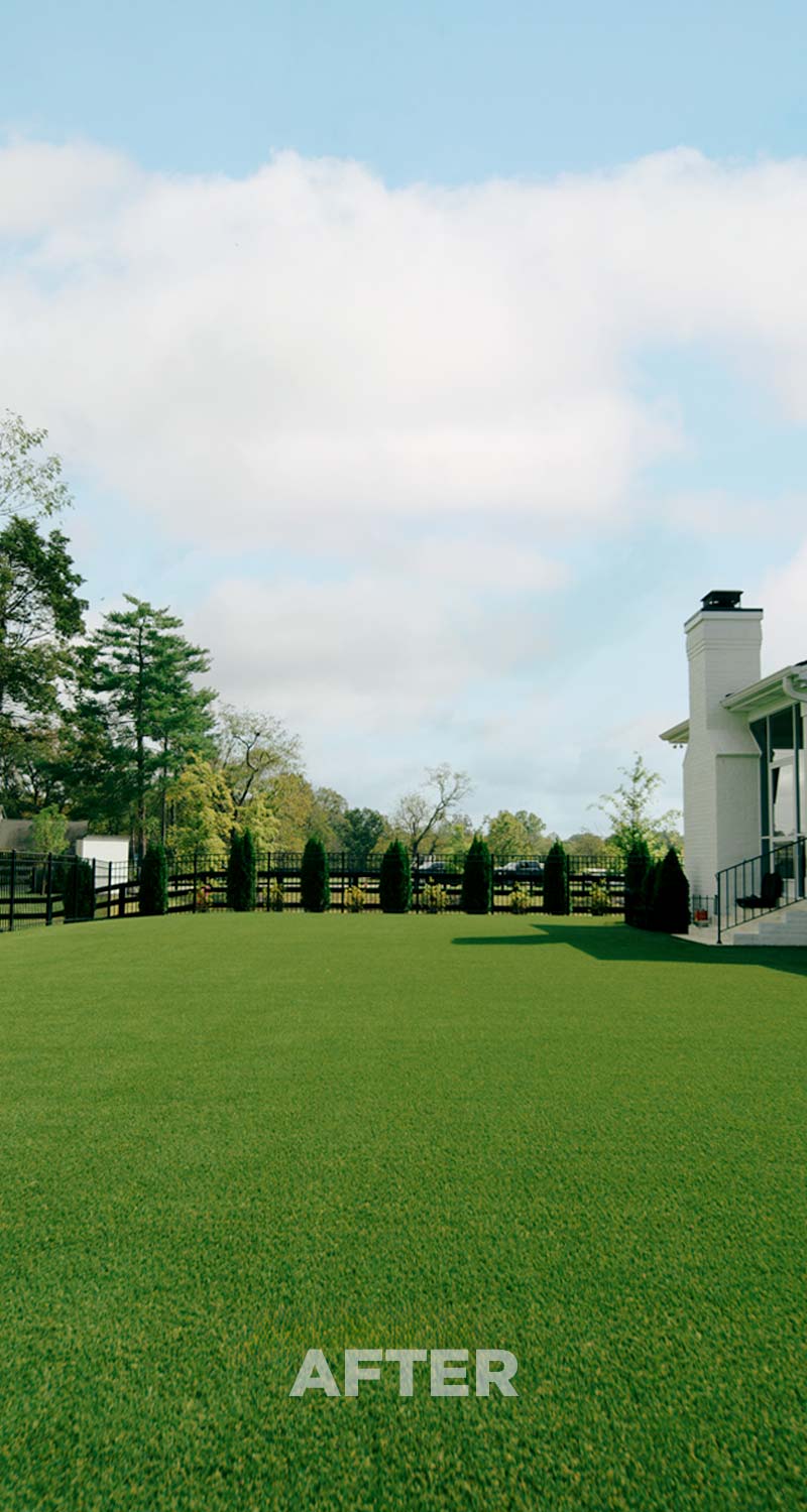 Goat Turf artificial turf before maintenance service