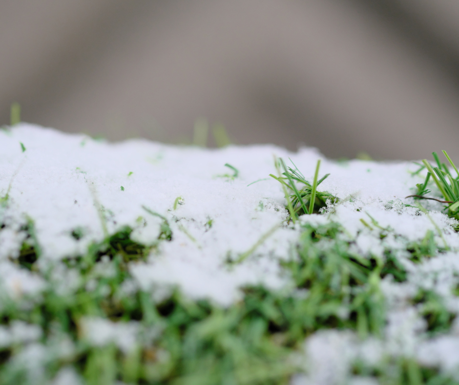 Five Winter Considerations for Artificial Turf Owners