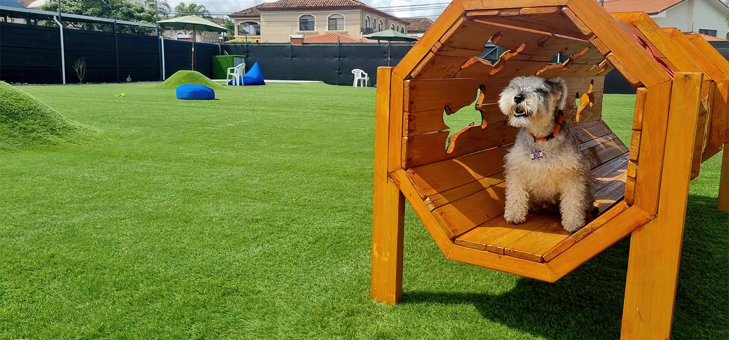 Artificial turf pet park