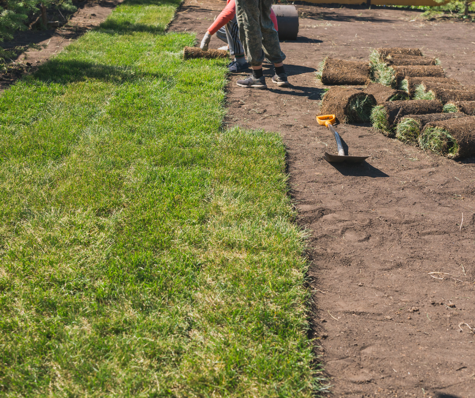 How Artificial Sod Transforms Your Lawn with Zero Effort